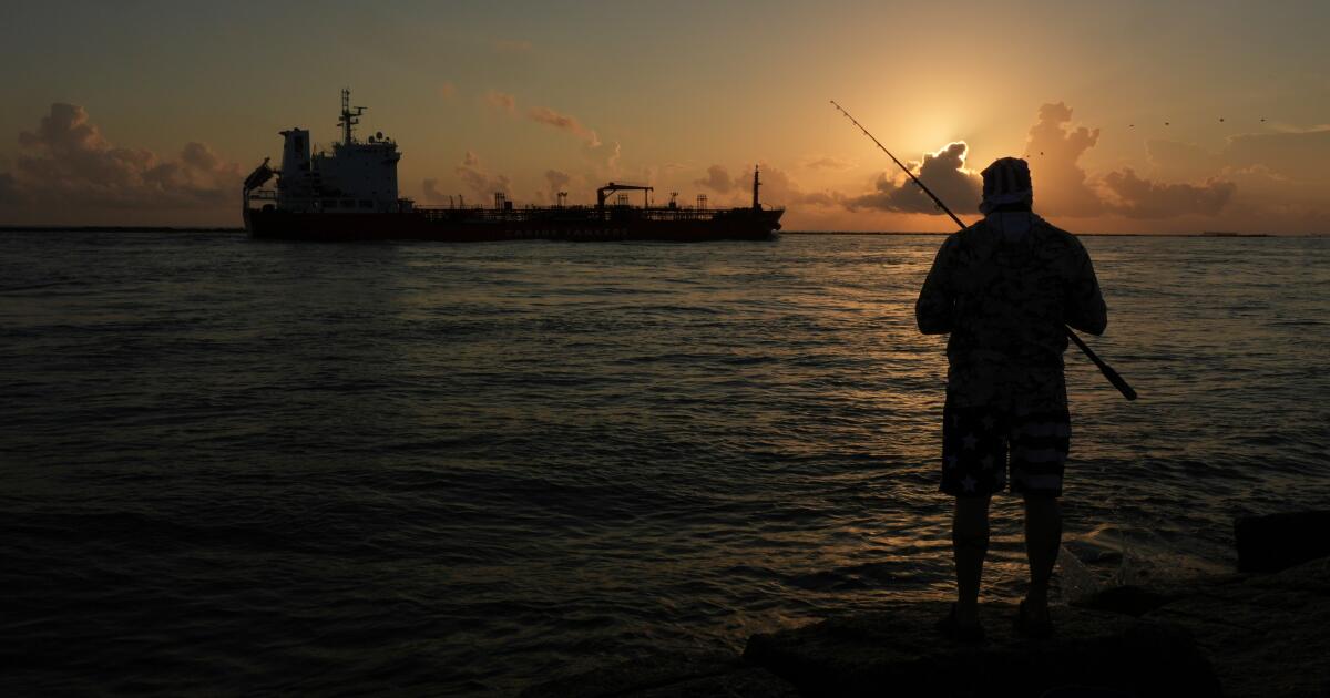 Trump Administration Grants Gulf of Mexico Oil Drillers Exemption from Endangered Species Act