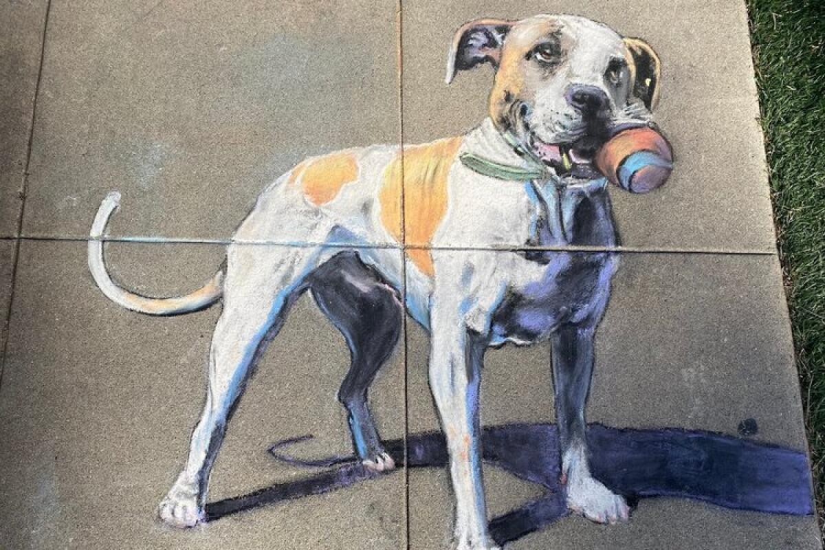 Ocean Beach artist Erick Toussaint's chalk illustration of his neighbor's dog, Biggie.