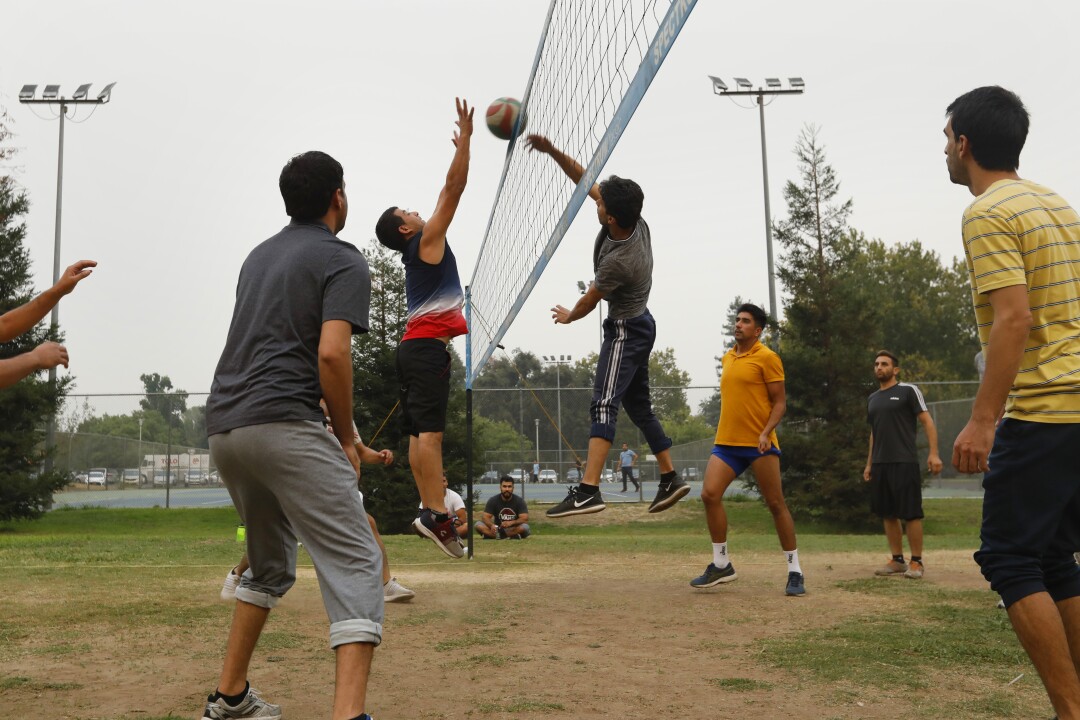 Men play volleyball in a park