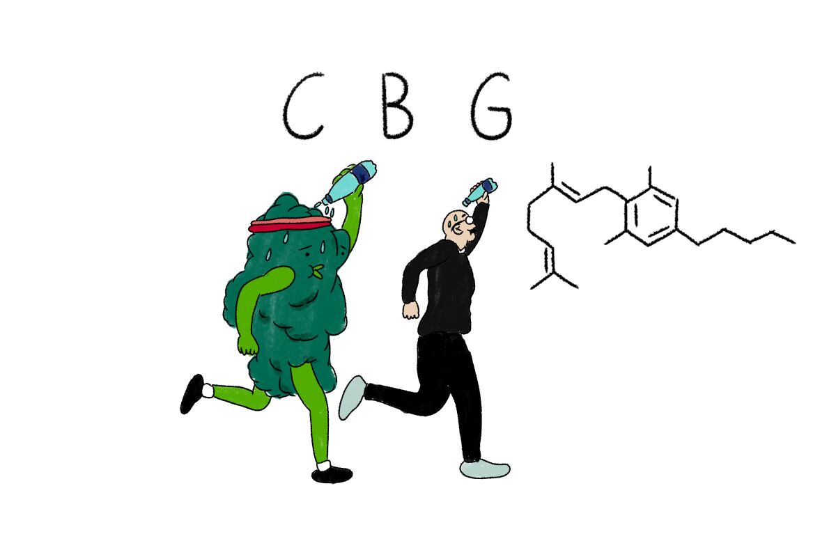 An illustration of a cartoon cannabis bud jogging and pouring water.