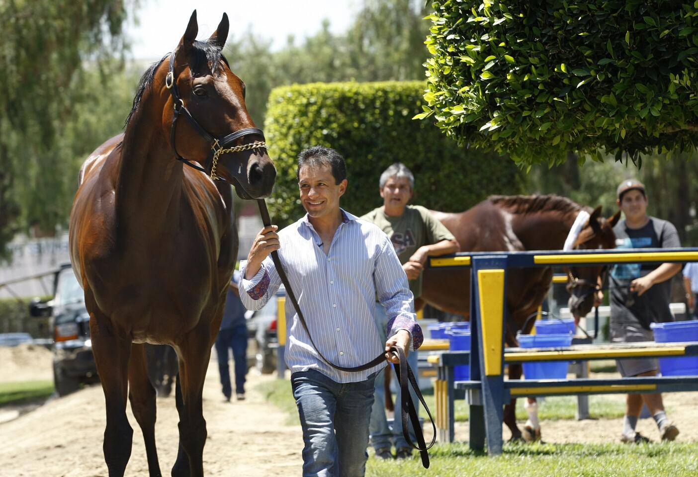 Jockey Victor Espinoza walks with triple crown winner American Pharoah, outside the horse's barn at Santa Anita Park in Arcadia on Thursday. The horse returned to California for the first time since he romped to victory with Espinoza aboard at the Belmont Stakes on June 6.