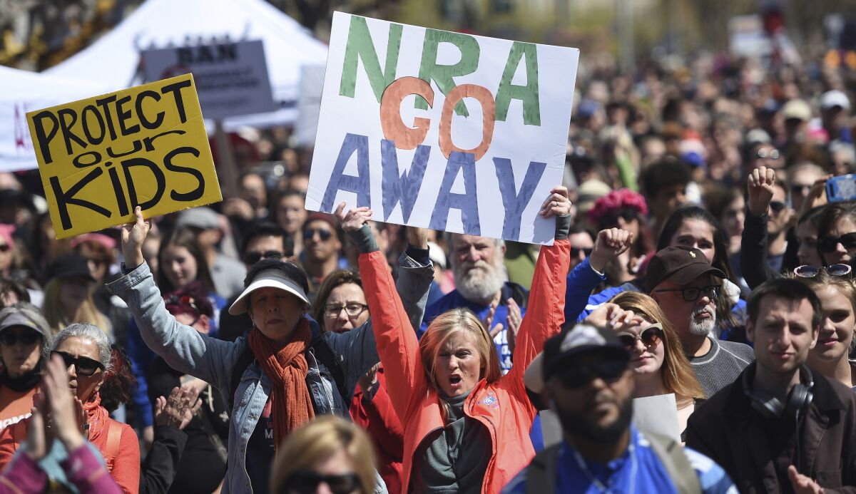 Gun control protesters