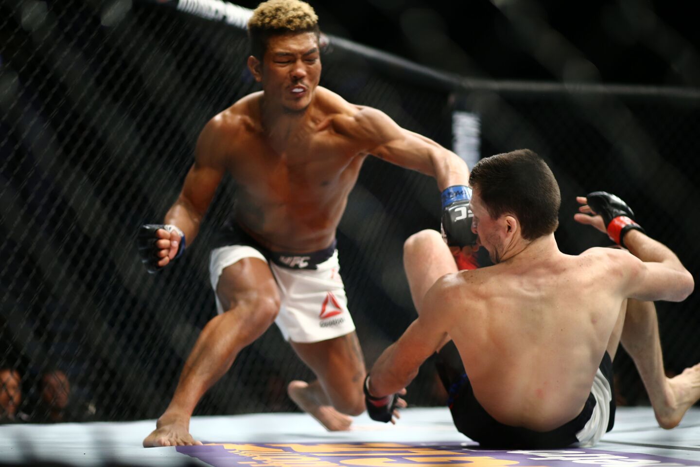 UFC 196: Erosa vs. Ishihara