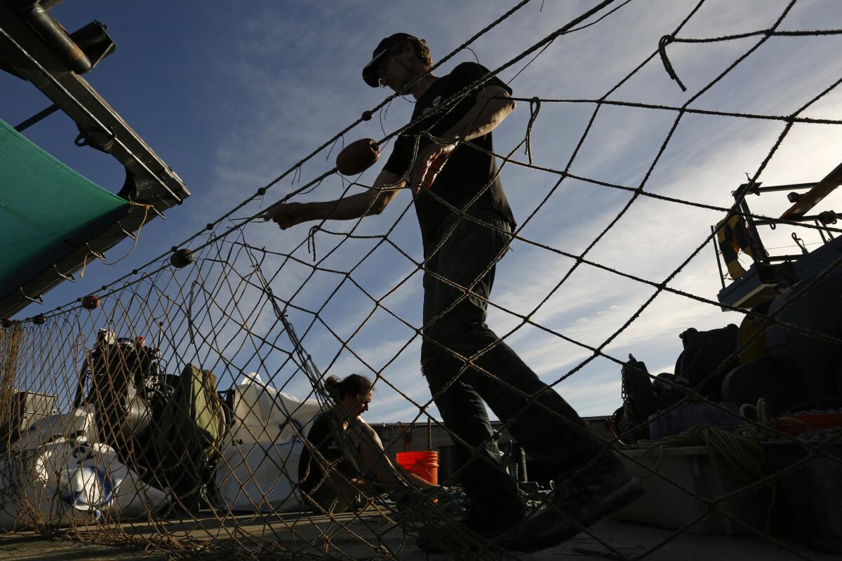 Sea Shepherd activists work to break down illegal gill nets and other illegal fishing lines used by poachers. All parts of the nets are recycled.