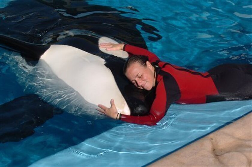 In this photo taken on Dec. 30, 2005, Dawn Brancheau, a whale trainer at SeaWorld Adventure Park, is shown while performing. Brancheau was killed in an accident with a killer whale at the SeaWorld Shamu Stadium Wednesday afternoon, Feb. 24, 2010. (AP Photo/Orlando Sentinel, Julie Fletcher)