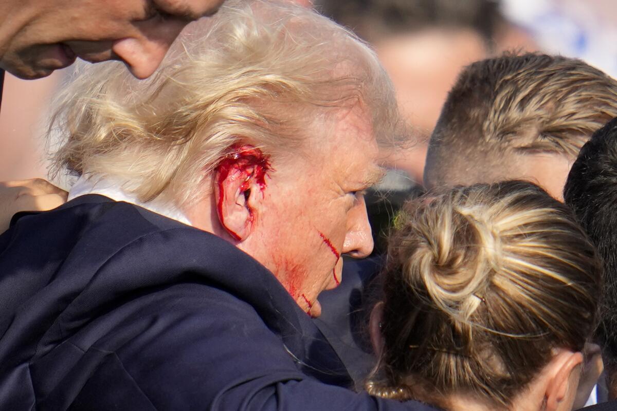 Former President Donald Trump is shown with blood on his ear. 