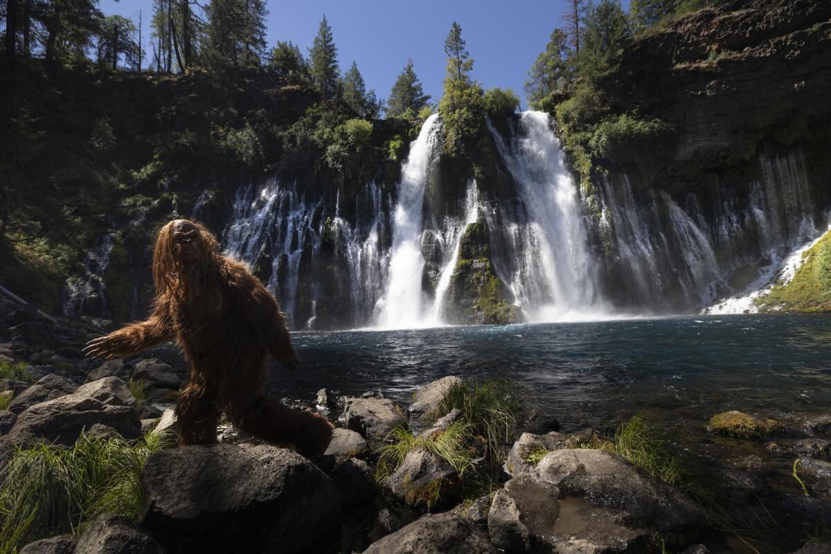 A man dressed like Bigfoot takes a photo for Instagram last July in Burney, Calif. The waterfall will be closed this summer.