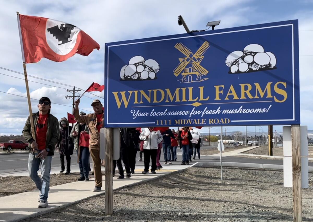 Workers demonstrate outside Windmill Farms.