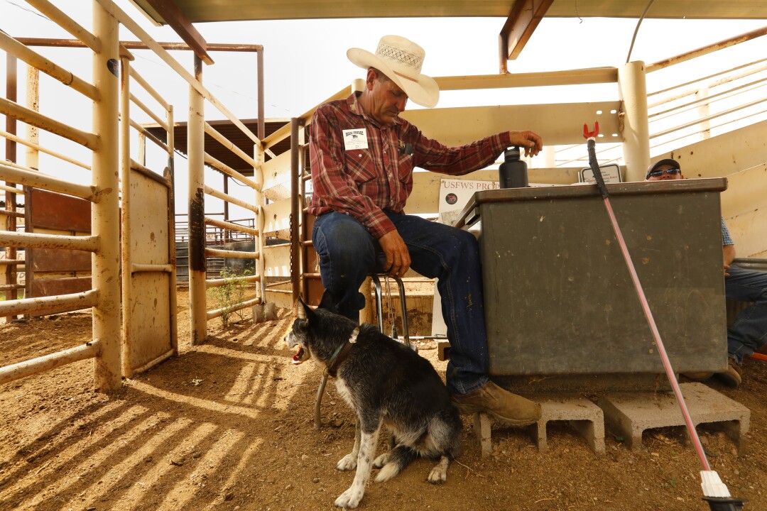Clay Parsons owns Marana Stockyards, which he runs with his son.