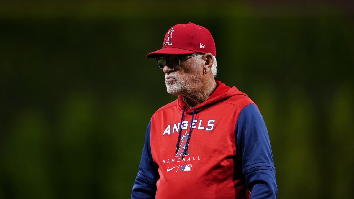 Los Angeles Angels – Joe Maddon's Balding All Angels for Childhood Cancer