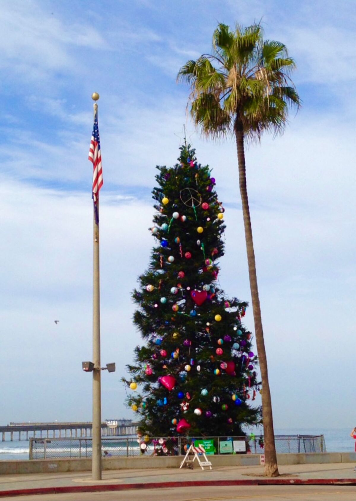Ocean Beach's curvy holiday tree from around 2010.