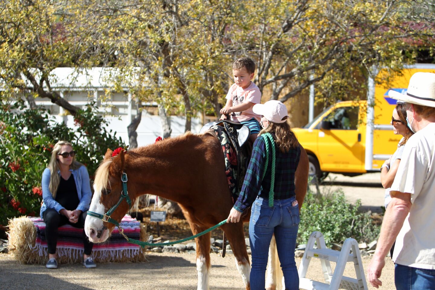 Will Sondag rides Rosie the horse
