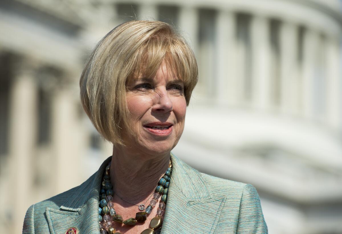 Rep. Janice Hahn, D-Calif., speaks during the event in 2014.