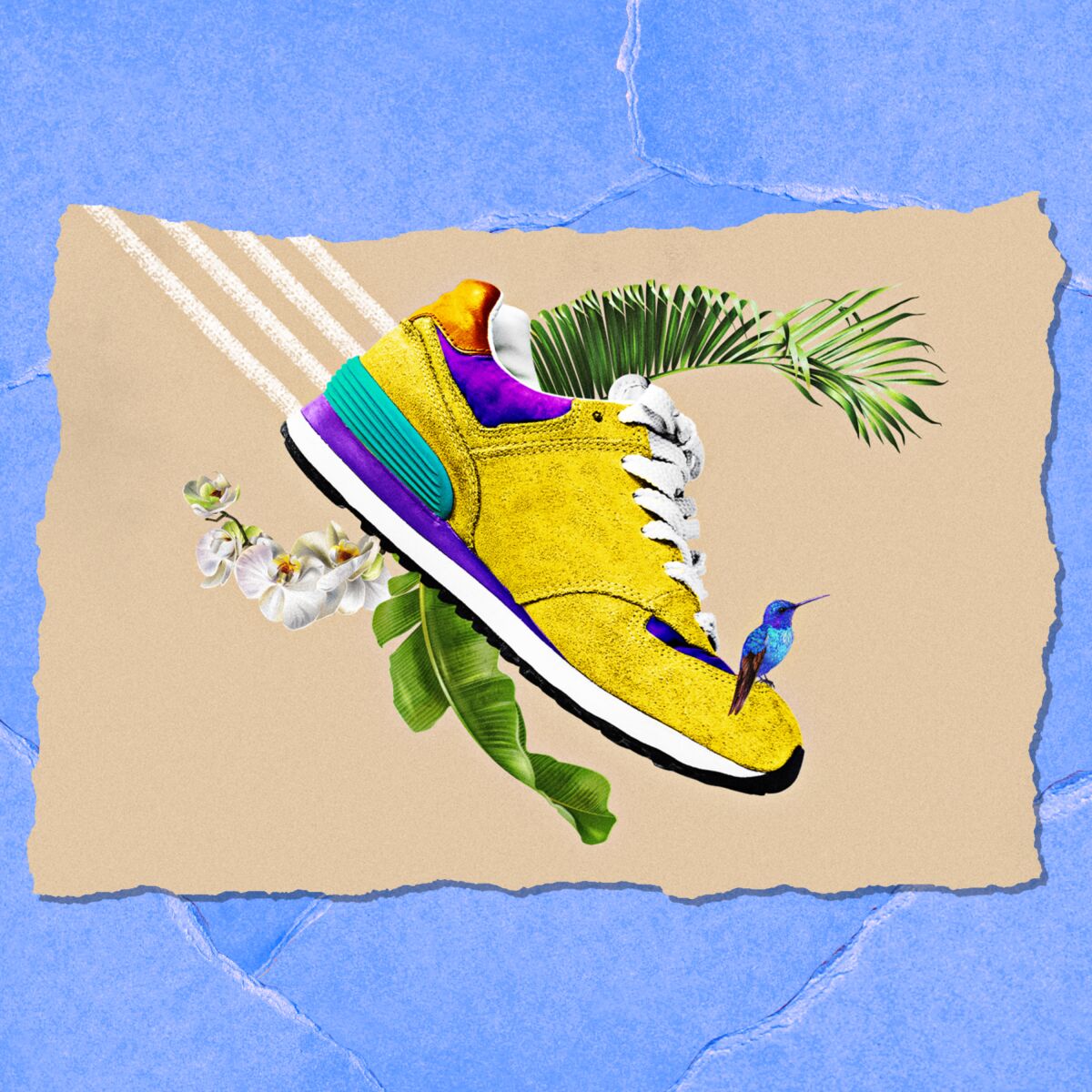 An illustration of a shoe with tropical plants and a hummingbird surrounding it.