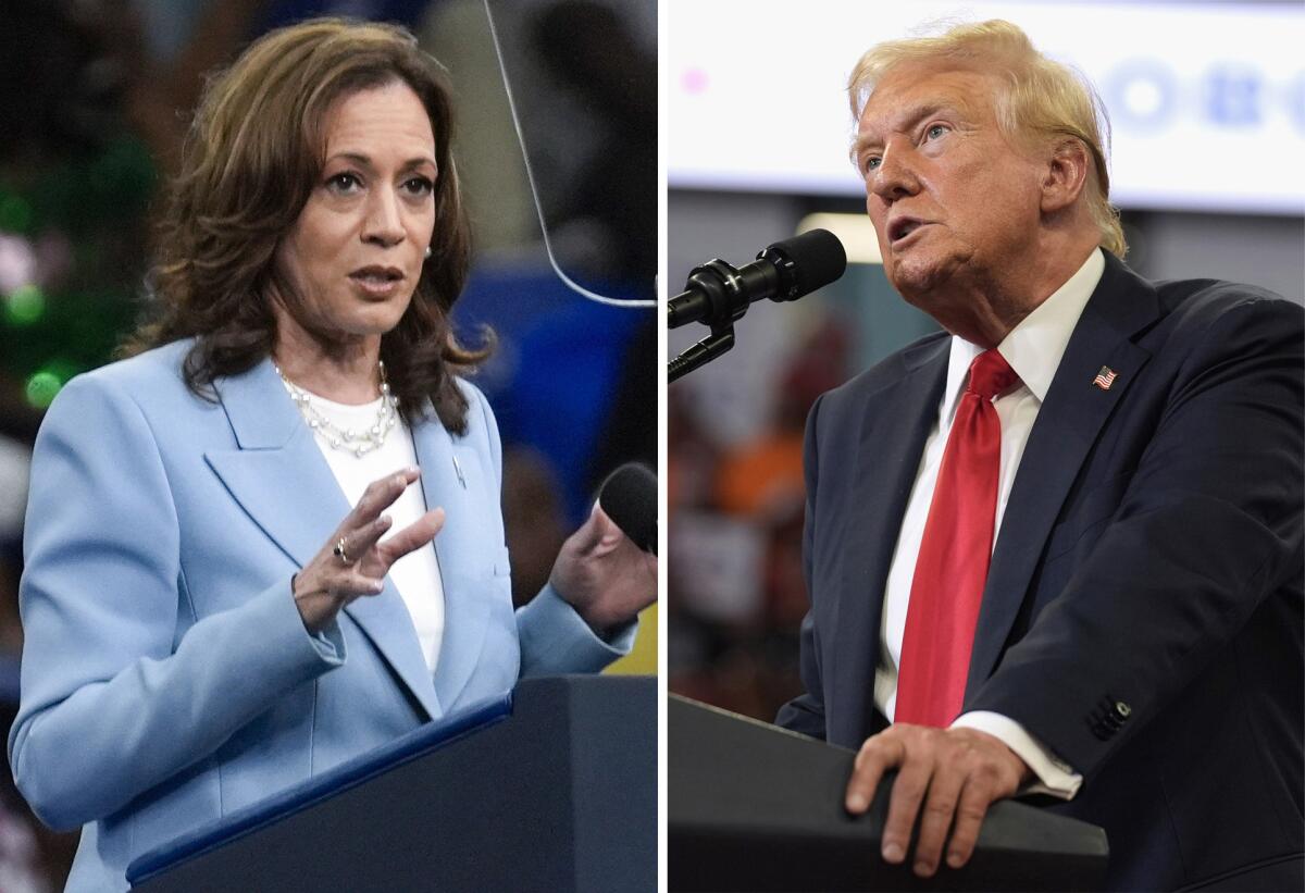 A combination of photos taken at campaign rallies shows Vice President Kamala Harris and former President Donald Trump.