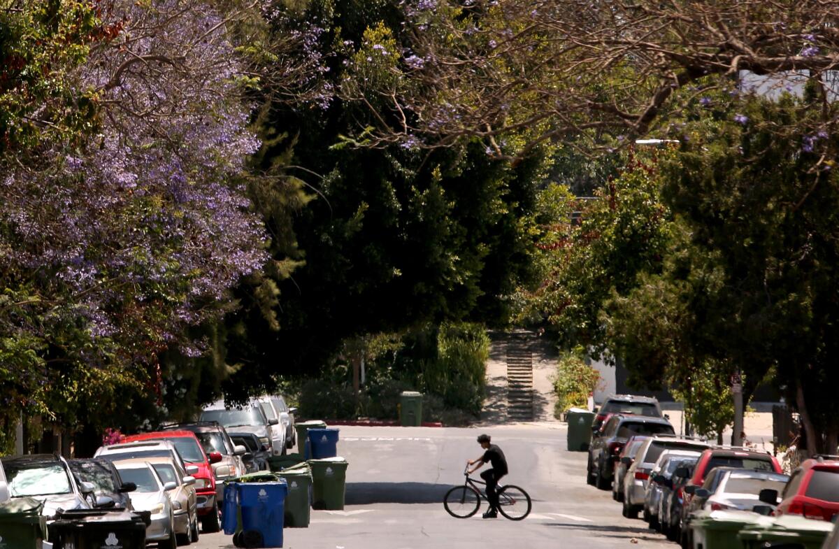 A bicyclist rides across a street