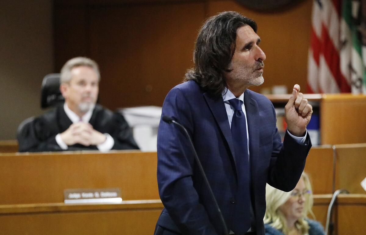 Attorney David Feldman addresses the jury during closing arguments before Judge Kevin G. DeNoce in Ventura County Superior Court.