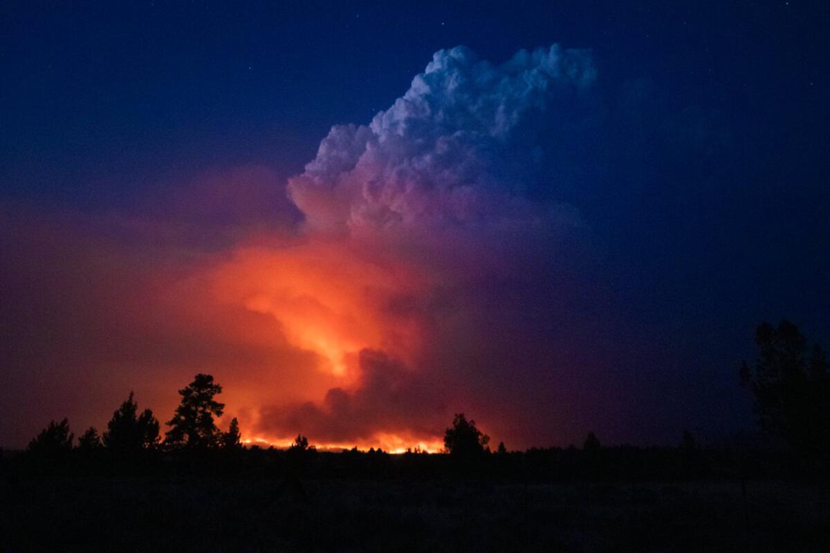 Flames light up the night behind a dark forest