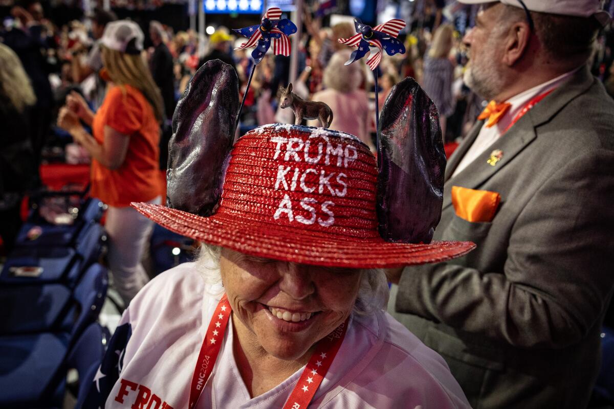 Sharon Anderson of Tennessee wears a donkey hat.