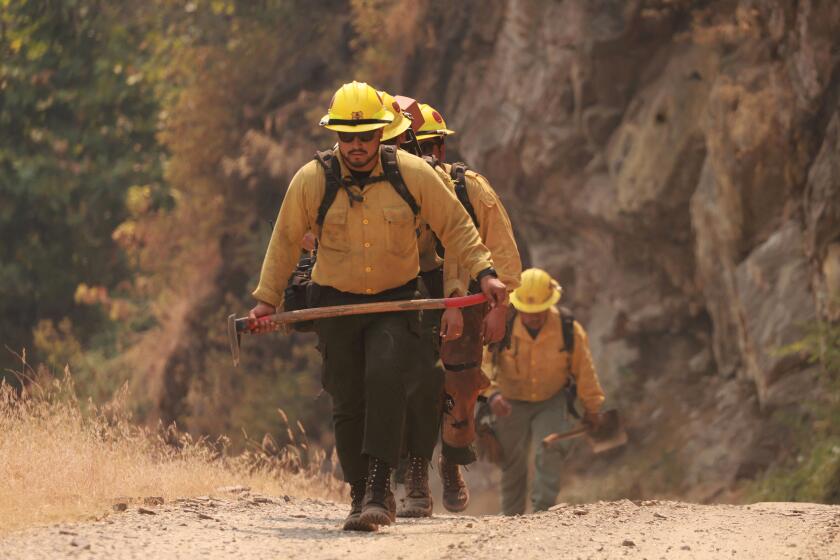 A US Forest Service (USFS) crew walks along the fire perimeter as the Basin Fire burns in the Sierra National Forest in Fresno County, California, June 27, 2024. A trio of wildfires, named the "June Lightning Complex Fire," in the county have burned 7,002 acres (2834 hectares), and together are 15 percent contained, with evacuation orders in place by Cal Fire authorities. (Photo by David SWANSON / AFP) (Photo by DAVID SWANSON/AFP via Getty Images)