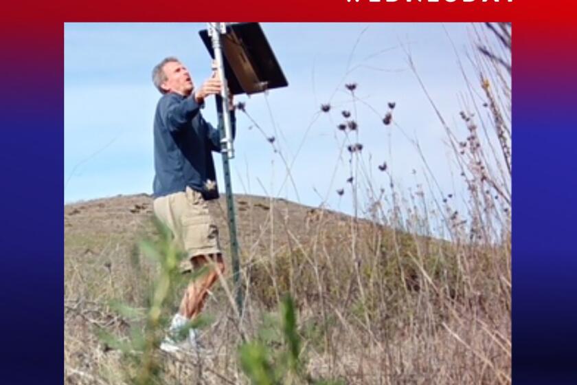 A wanted poster shows a gray-haired man in shorts handling equipment on a metal pole amid weeds and grass.