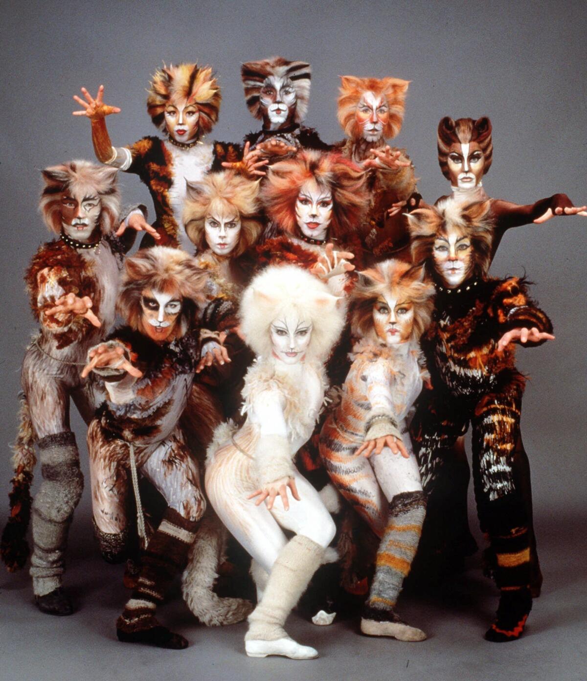 The cast of the stage musical "Cats"