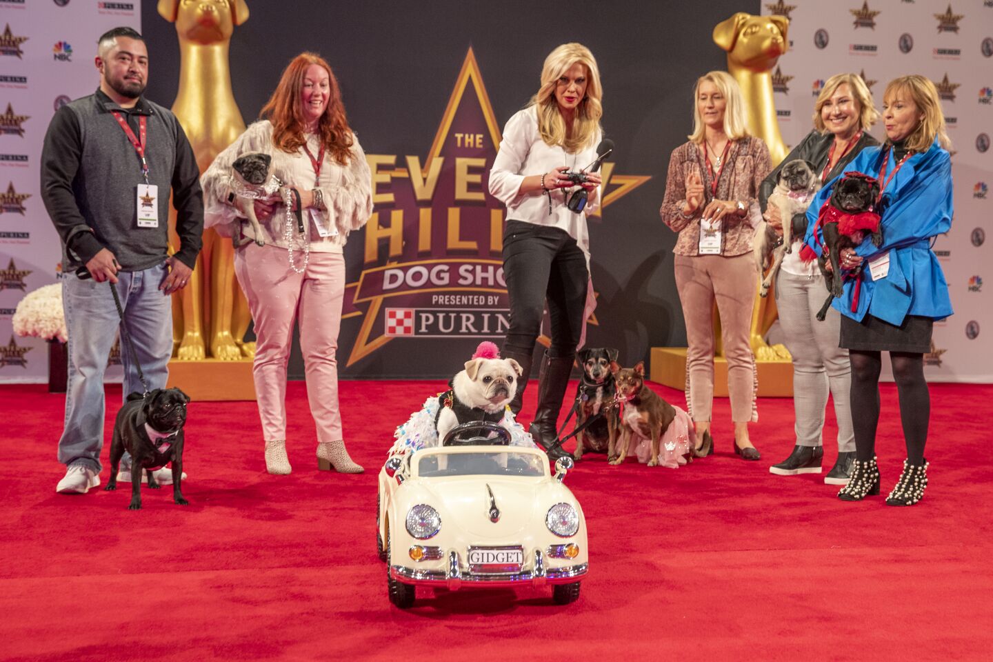 Beverly Hills Dog Show Meet the entrants (and their humans) Los