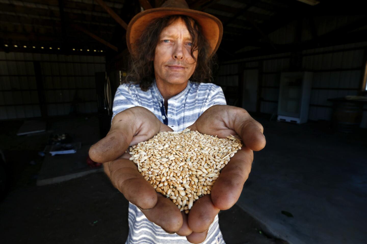 Jon Hammond shows Sonora wheat berries grown in Tehachapi that are part of the Tehachapi Heritage Grain Project.