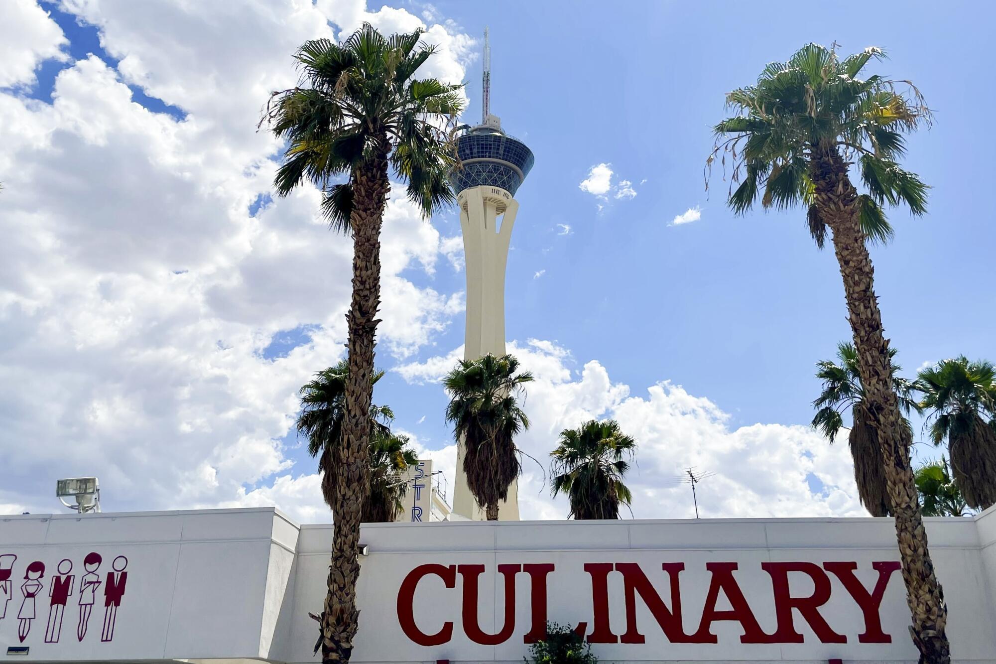 A view from below of palm trees and the top of a white building reading "Culinary," with a tall observation tower behind it
