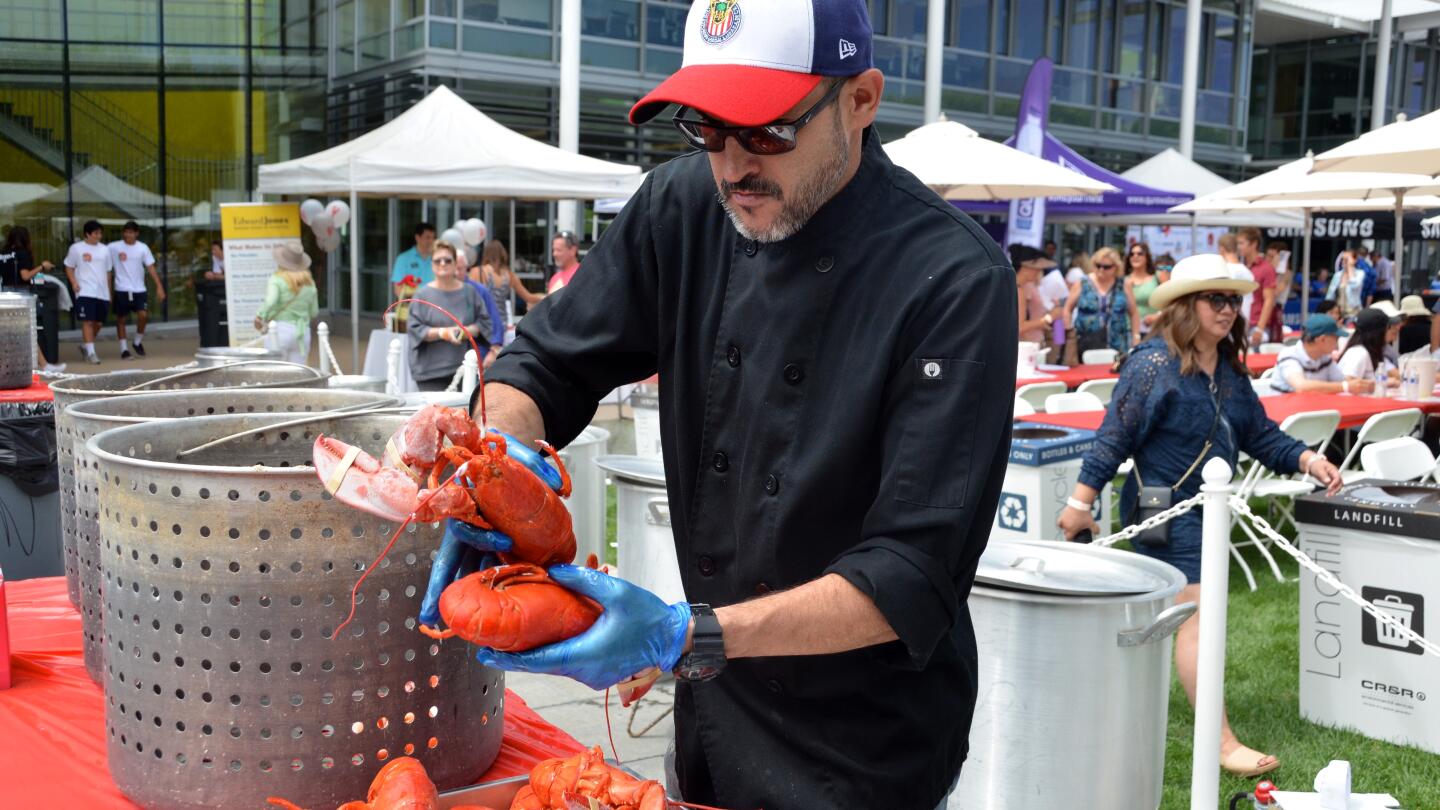Miguel Martin arranges whole Maine lobsters flown in the same morning during the Lobsterfest held Sunday at the Newport Beach Civic Center green.