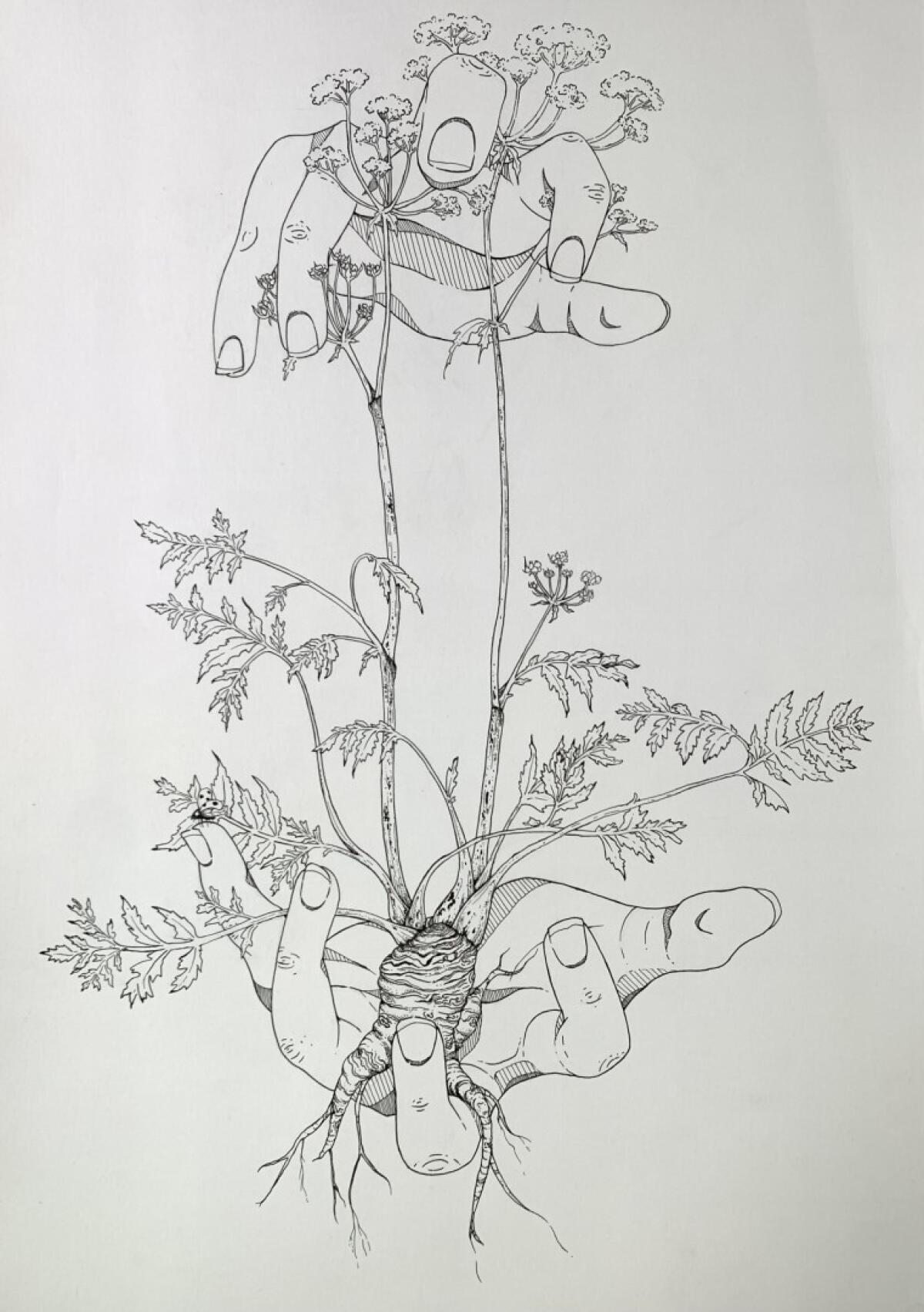 Belen Suros, a junior at The Bishop's School, said having her piece in the SDMA “Young Art” show was "an honor."