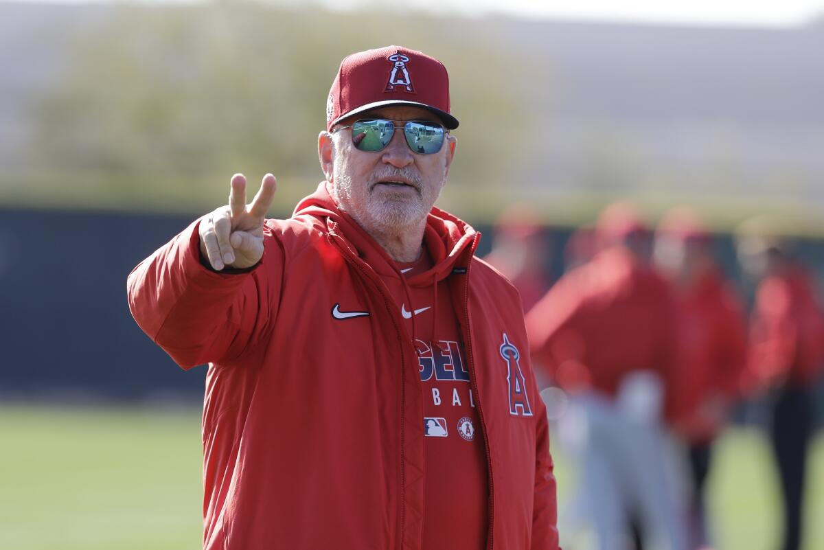Angels manager Joe Maddon watches during spring training practice on Feb. 12 in Tempe, Ariz.