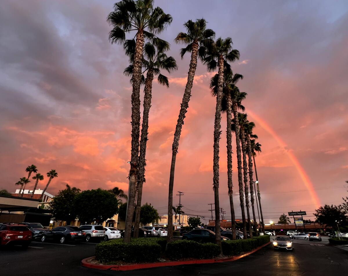 A partial rainbow rises behind palm trees