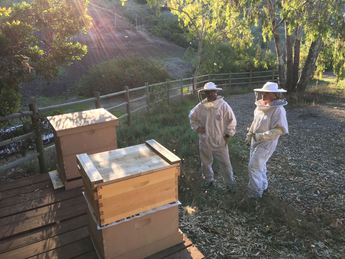 Beekeeper Robin Jones, right, fully geared up for handling what she calls "defensive" bees.