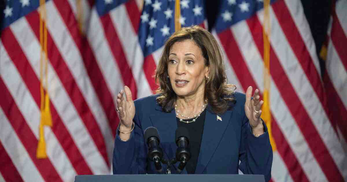 Astronaut? Governor? Cupboard member? Assessing Harris’ VP choices