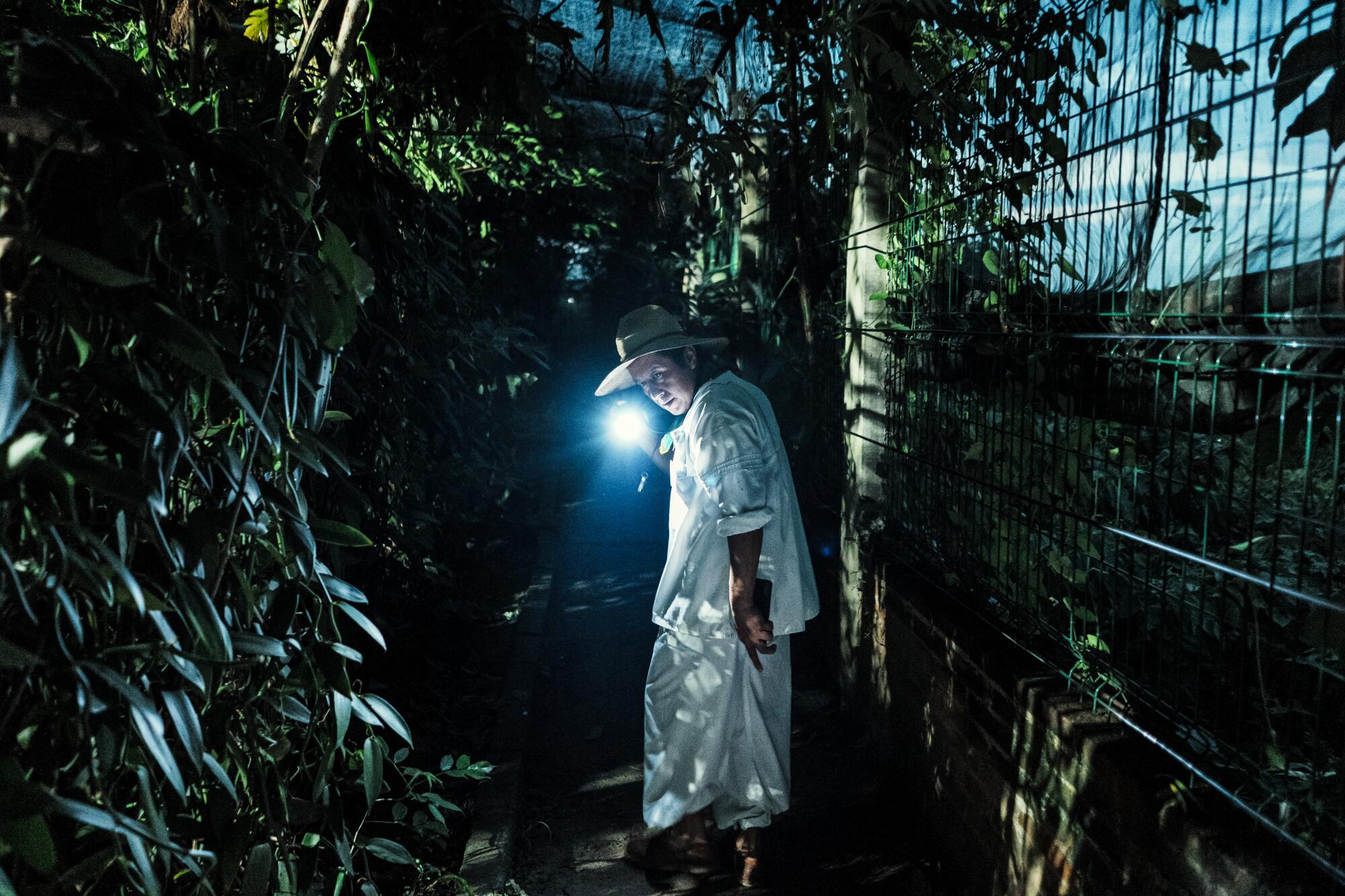 A man in a straw hat and loose white clothes walks among plants at night with a flashlight.