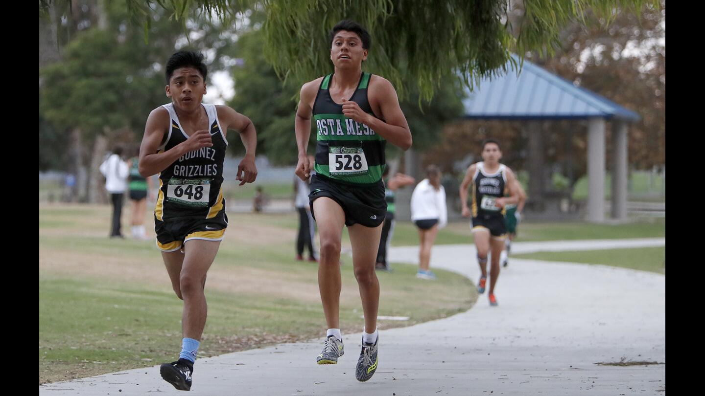 Photo Gallery: Laguna Beach, Costa Mesa and Estancia High at the Orange Coast League boys' and girls' cross-country finals