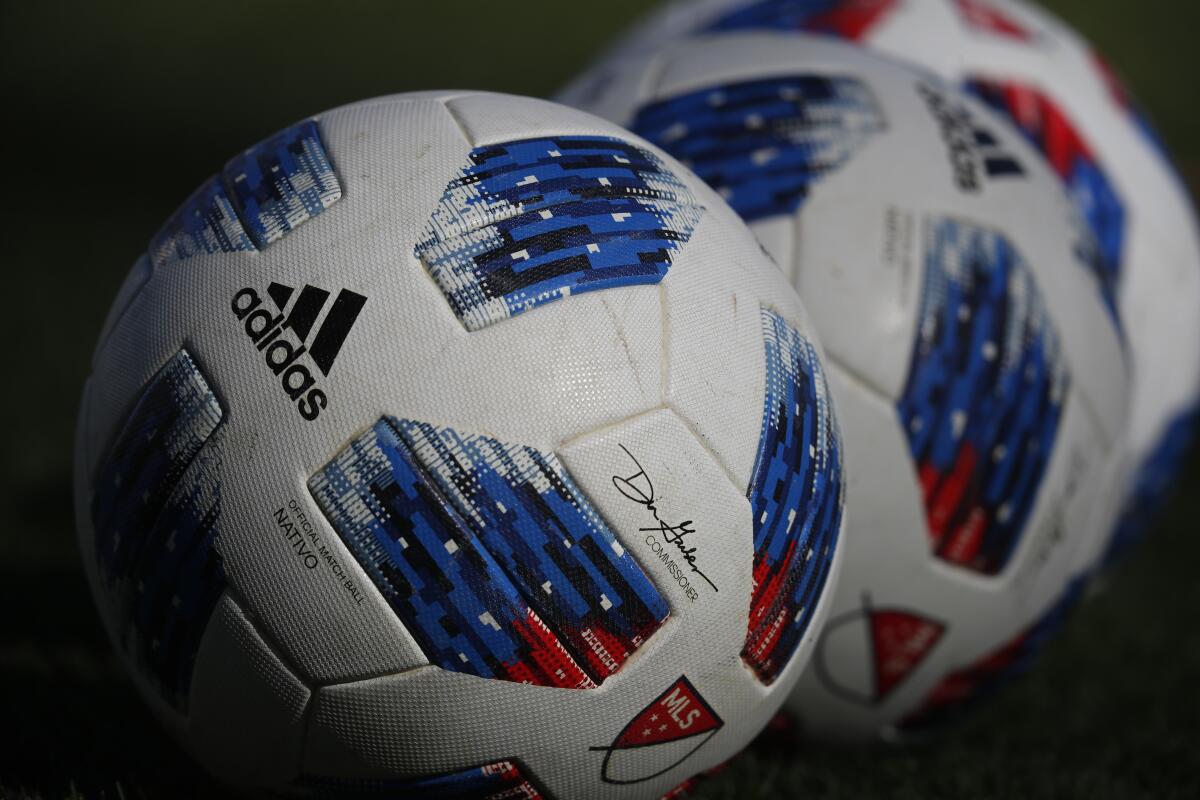 Soccer balls lined up in a row on the field.