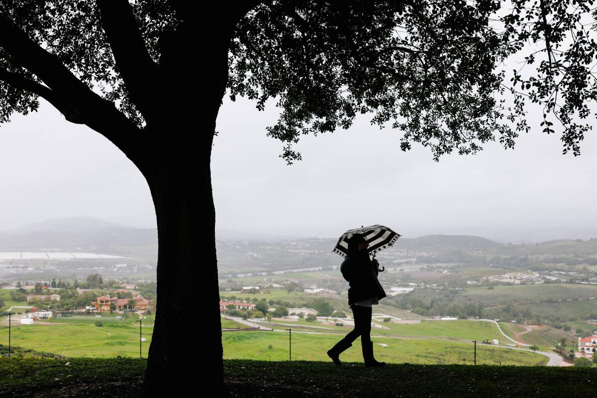 Rain falls during a Presidents Day commemoration at the Reagan Presidential Library on Monday in Simi Valley.