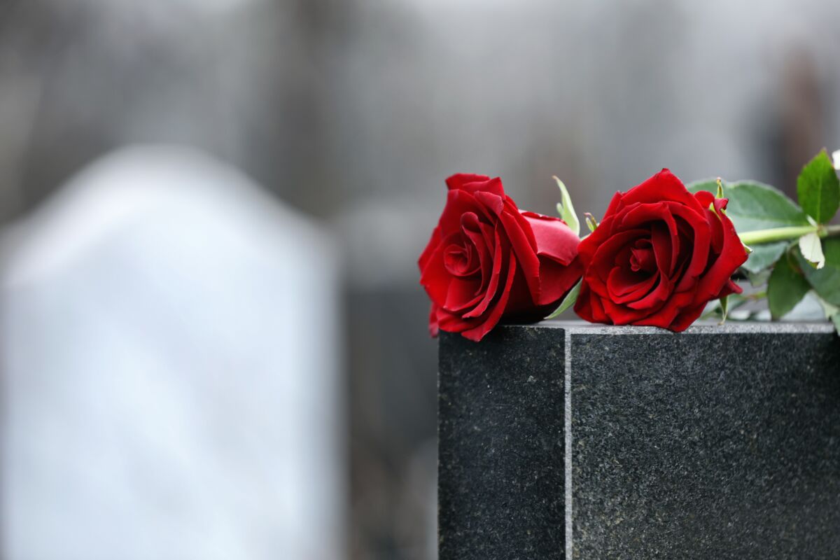 Red roses on black granite tombstone