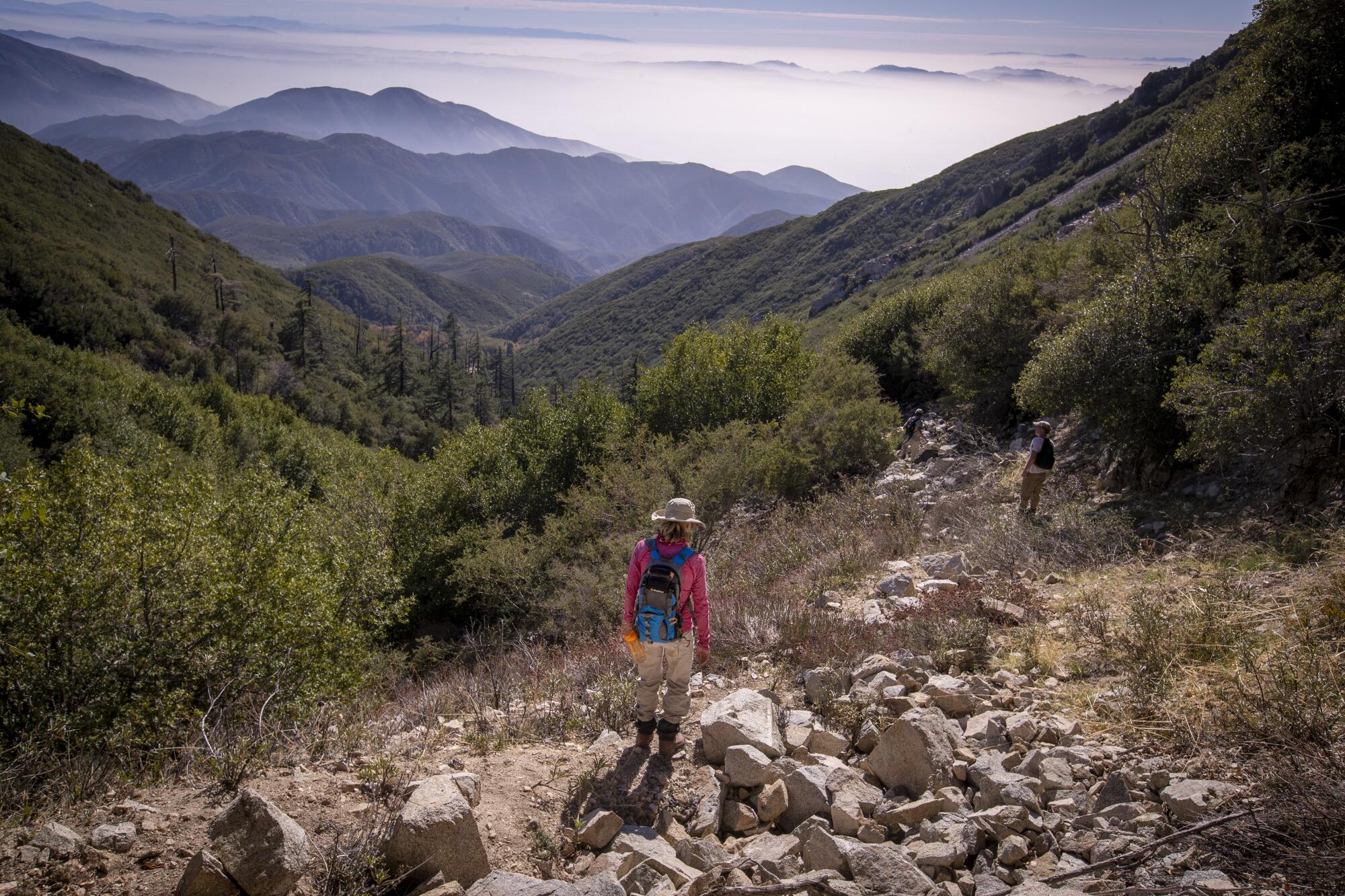 A hiker in San Bernardino National Forest.