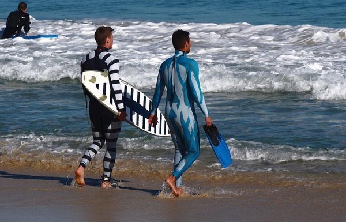 A surfer and a diver wear wetsuits designed to make them less vulnerable to shark attacks.