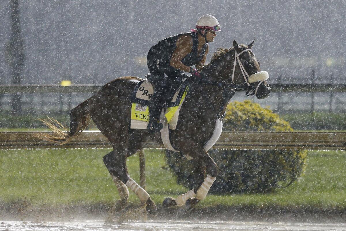 Vekoma, whose pedigree shows parentage that won in the mud 21% of the time, trains in the rain Friday morning.