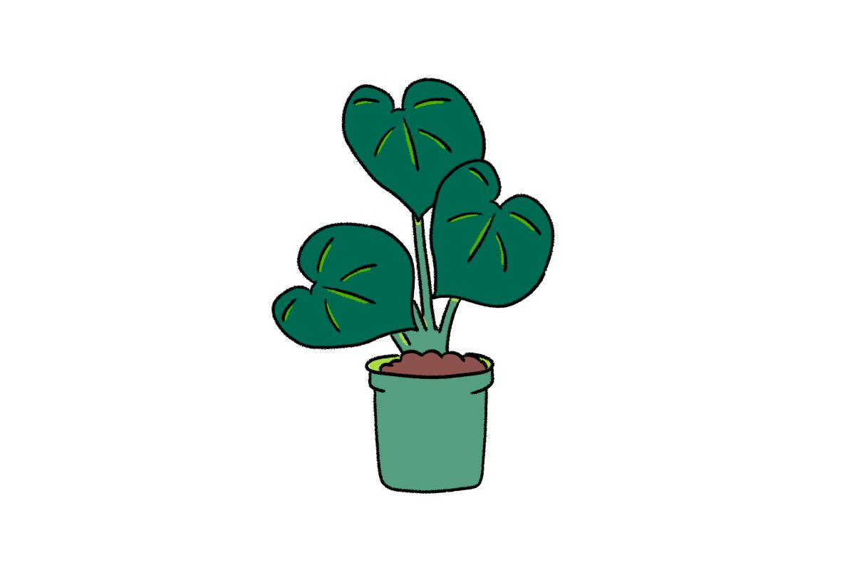 An illustration of a houseplant.