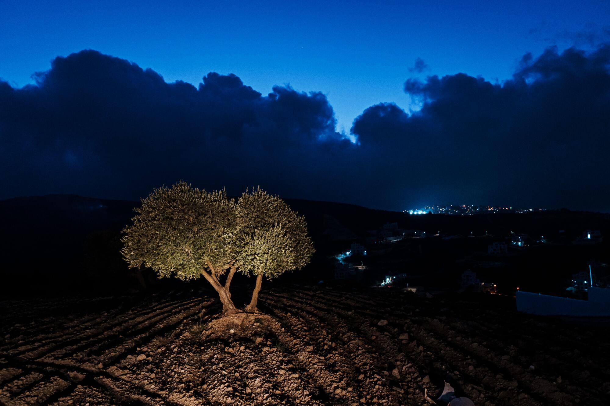 A light shines on a tree in the dirt against a darkening sky with darker clouds 