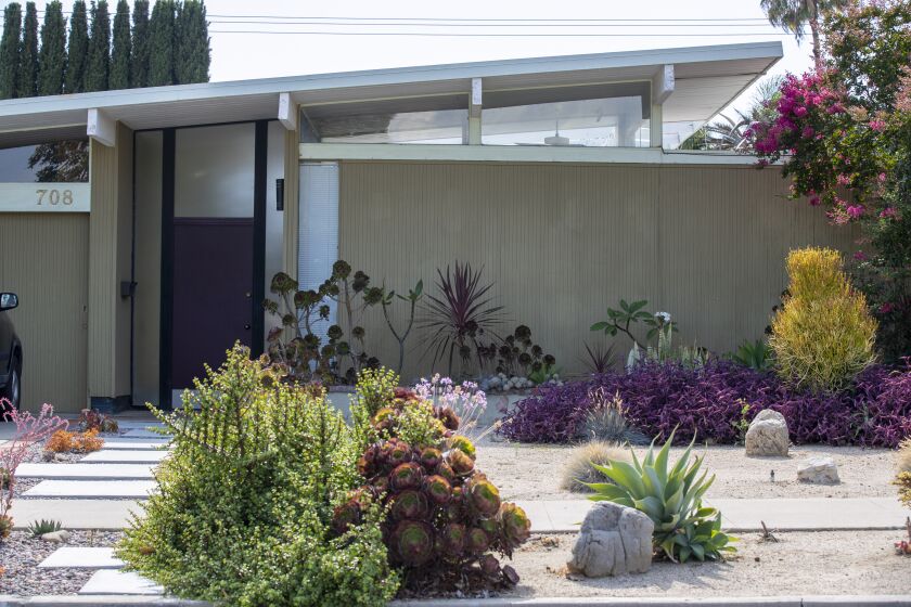 Drought tolerant landscaping gives this Eichler home a 21st century feel.