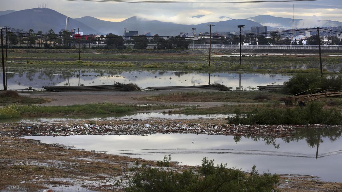 After a few days of rain during the spring, the flood plain just north of the border fence, next to a wastewater treatment plant, was full of runoff, including islands of trash.