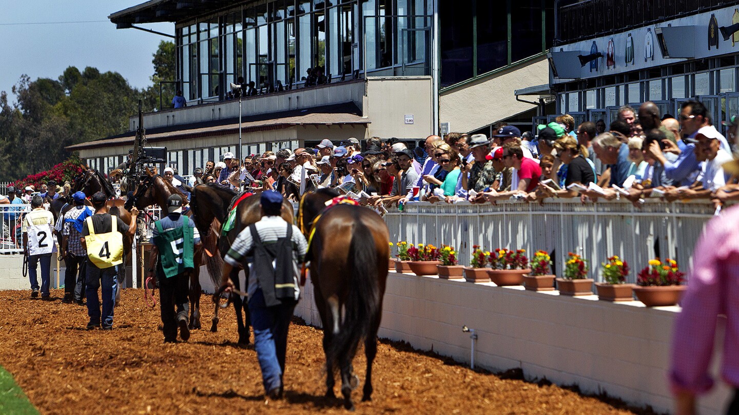 Los Alamitos Race Course offers quarter-horse as well as thoroughbred racing.