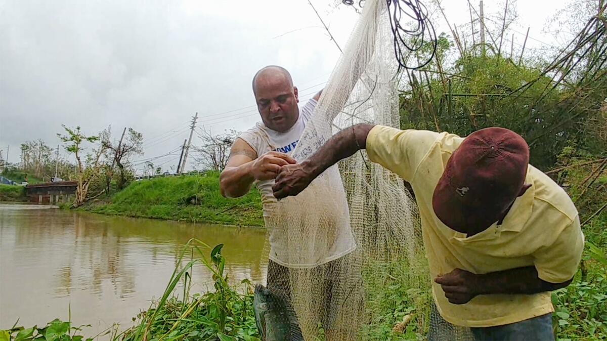 Joel Cotto, 50, and his friend, Jesús González, 57, retrieve a fish from a net at a lake in Cidra, Puerto Rico.