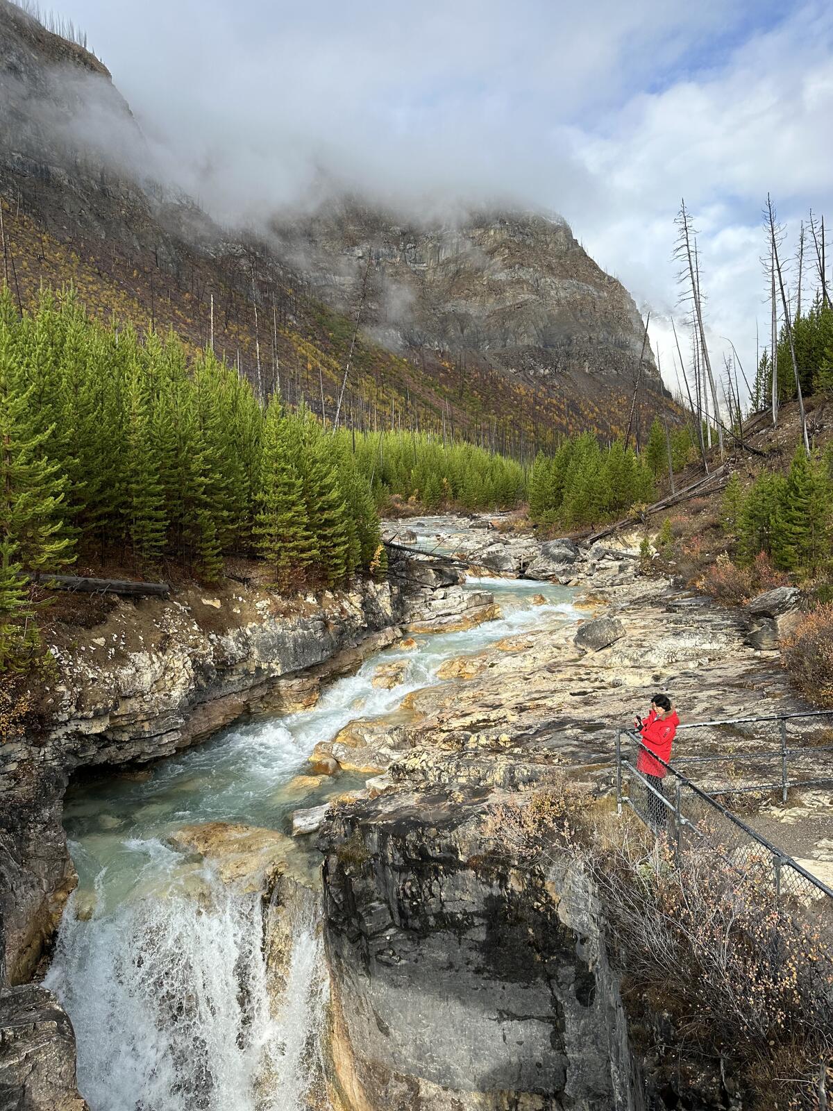 Marble Canyon is a marble-walled gorge in Canada’s Kootenay National Park.